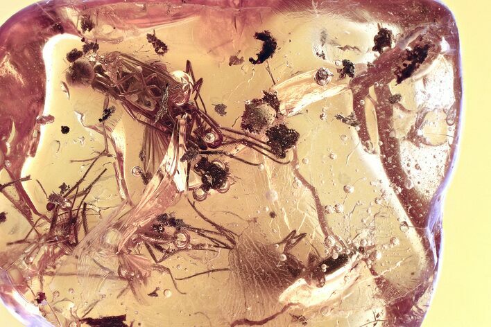 Fossil Ant-Like Leaf Beetle, Long-Legged Flies & Debris in Amber #357718